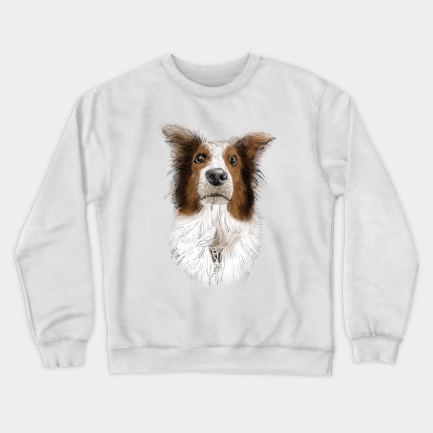 Australian Shepard, Aussie Crewneck Sweatshirt by russodesign